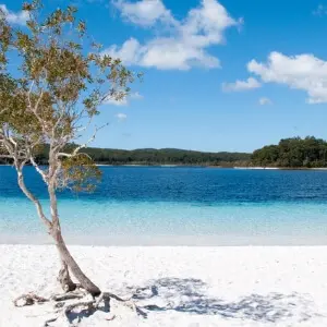 From One Bustling Sunny City to a Surfing Paradise