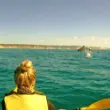 Kayaking with Dolphins